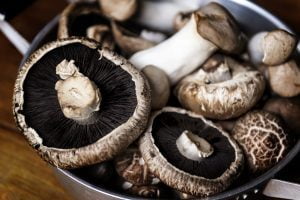 reduce weight with mushroom diet