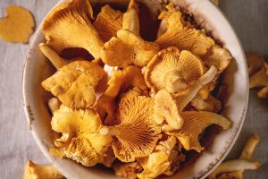 reduce weight with mushroom diet
